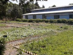 مزرعه آموزشی جهاد کشاورزی قزوین
